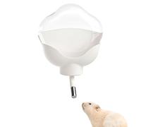 Bouteille d'eau du Hamster Pas De Goutte À Goutte - 500 ML De Transparent À L'épreuve, Petite Gaspillage D'hydratation pour Animaux De Compagnie avec Support De Support | Parfait pour La Config