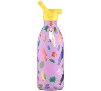 Bouteille d'eau en acier Galactic Ride 500 ml Cool Bottles