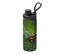 Bouteille d'eau en acier inoxydable avec imprimé arc-en-ciel et insectes - 532 ml - Tasse isotherme durable pour la course, la randonnée, le cyclisme et l'alpinisme