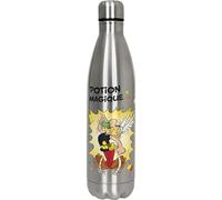 Könitz Bouteille d'eau Isotherme en INOX Astérix et Obélix (Potion Magique)