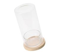 Bouteille décorative en verre hydroponique pour plantes - Pour le bureau - Purification naturelle de l'air - Terrarium avec base en bois