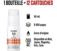 Bouteille d'encre - CANON - GI-53R - Rouge - Compatibilité PIXMA G650 et G550 - (4717C001)