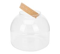 Bouteille en Liège en Bouchon Terrarium Verre de Végétal | Kit DIY pour Mousse et Pierres, Décoration Présent pour Salle de Bain, Entretien Facile