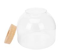 Bouteille en Verre Bouchon en Bois pour Micro Paysage | Set Diy, Conteneur pour Terrarium Végétal Simple, Adapté aux Pierres Plantes