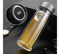 Bouteille infuseur à thé - Tasse de voyage portable à double paroi en verre avec filtre en acier inoxydable - Bouteille à thé pour thé en vrac, fleurs, herbes (argent)