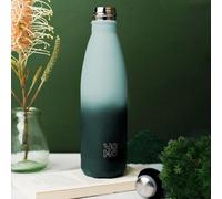 Bouteille iso sorbet spiruline 500ml