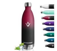 Bouteille Isotherme 1L, Gourde Métal sans BPA, Étanche, Gourde Isotherme Réutilisable Double Paroi, Bouteille Isotherme pour École, Bureau, Outdoor, Fitness, Yoga, Gym, Camping, Enfant ou Adulte