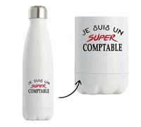 Bouteille Isotherme d'un Super Comptable - Bottle - Idée Bouteille Isotherme Personnalisable Cadeau Anniversaire Fête Original Famille Travail Départ Collègue Retraite Noël.