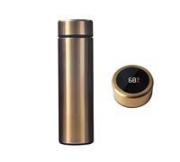 Bouteille isotherme intelligente avec affichage de la température, flacons sous vide, texture en acier inoxydable, tasse à café isolée pour, eau pour garçons et tout-petits sans paille en