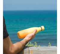 Bouteille isotherme sorbet agrumes 500ml