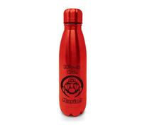 Pyramid International – Bouteille isotherme Nintendo Mario – 500 ml – Sans BPA – Licence officielle