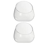 Bouteille Micro-Paysage en Verre 2 Pièces, Ouverture Inclinée | Usage Maison et Salle à Manger, Entretien Facile, Prise en Main Confortable, Décoratif et Esthétique