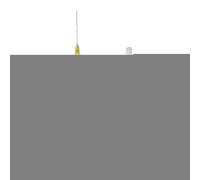 Bouteille presse-agrumes avec pointe fine pour graisseur d'aiguilles