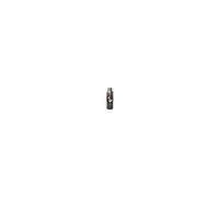 Bouteille - STOR - Pokemon - En Métal - Réutilisable - 515 ml