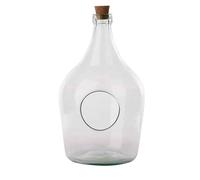 Bouteille terrarium 5 Litres