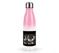 Bouteilles d'eau en métal de 500 ml, trois pelicansprinted - Bouteille d'eau isotherme anti-fuite en acier inoxydable pour boissons froides et chaudes