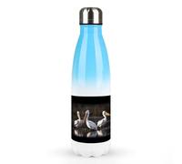 Bouteilles d'eau en métal de 500 ml, trois pelicansprinted - Bouteille d'eau isotherme anti-fuite en acier inoxydable pour boissons froides et chaudes