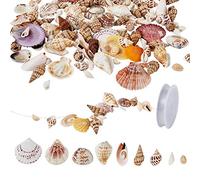 Boutigem Lot de 104 perles de coquillage de formes mélangées - Perles festonnées en forme de coquillage de trompette pour bricolage, plage, bracelet, collier, aquarium, vase