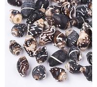 Boutigem Lot de 50 perles naturelles en forme de coquillage en spirale marron noix de coco pour la fabrication de bijoux, bracelets, colliers, loisirs créatifs de plage