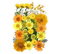 Boutihao Fleurs séchées Naturelles Fleurs Sechees à Ongles Multicolores 32 Pcs, pour Bricolage Mélange Fleurs séchées de DIY Bougie Peinture pour Décoration Nail Art Artisanat Maquillage