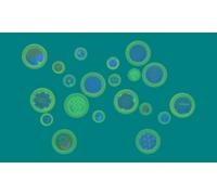 Bouton À Coller Bois Époxy Scandisweet 20 Pièces - Artémio