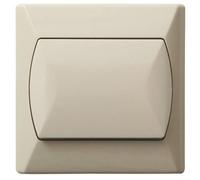 Bouton Basique Interrupteur D'éclairage Intérieur Cliquer Plaque Murale Beige