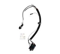 Weber Grill Bouton d'allumage compatible pour Spirit 220/320/330/335 – installation rapide et facile