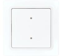 Bouton de bus 2 ou 4 canaux E-Design55 30055650