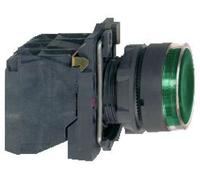 Bouton de commande éclairé vert Harmony XB5 XB5AW3365