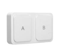 Bouton de Commutation de Scène Intelligent sans Fil, pour Tuya pour Zigbee, Interrupteur D'éclairage Intelligent à 2 Voies, Commutateur de Contrôleur de Scène Intelligent
