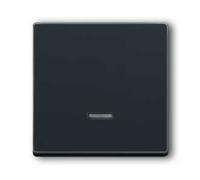 Bouton deMem. - Plaque de recouvrement pour interrupteur / gradateur anthracite 6543-81-101