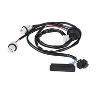 Bouton d'ouverture hayon Compatible Avec Nissan Pour X-trail T31 2008-2013 2014 Couvercle Coffre Arrière Bouton D'ouverture Commande Hayon Interrupteur Extérieur Démarrage 25380-JG01A