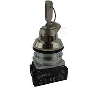 Interrupteur 2 positions clé 30mm argent NEF30 W0-NEF30-B XY