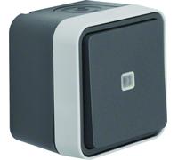 Bouton poussoir 1O/1F lumineux cubyko étanche IP55 gris pose en saillie - HAGER WNC021