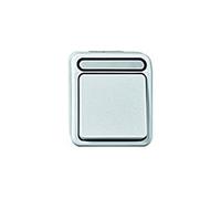 Merten Clé électrique complète 1 pièce, Bouton + interrupteur, Blanc