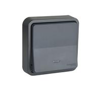 Schneider Electric SC5SHN0212459 Bouton Poussoir lumineux mureva Styl, 250 V, Gris