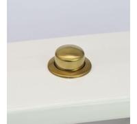 Bouton poussoir de chasse d'eau, compatible avec Siamp pour optima 49, réservoir d'eau à tête ronde, en ABS, pour réparation de réservoir d'eau de salle de bain, doré