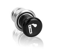 Bouton Poussoir de Prise d'allume Cigarette Voiture Keenso 12V, Puissance d'allumage Automatique 20mm pour la Plupart des véhicules Automobil