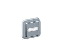 Legrand 069824 Poussoir Inverseur Étanche No, Nf Lumineux avec Porte-étiquette, Plexo Complet Encastré, 10A, Gris