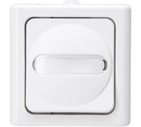 Kopp 560802003, Bouton + interrupteur, Blanc