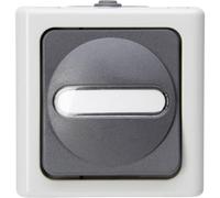Bouton-poussoir Kopp 560856002 BlueElectric gris
