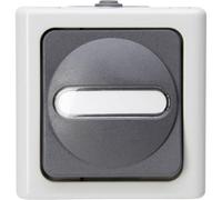 Bouton-poussoir Kopp 561456001 BlueElectric gris