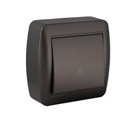 Bouton poussoir lumière en saillie - Noir graphite -