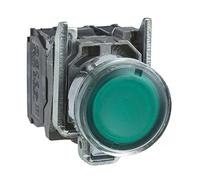 bouton poussoir lumineux - affleurant - 1no + 1nf - vert - 230v - schneider xb4bw33m5