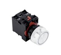 Bouton-poussoir métallique lumineux de 22 mm 1NO1NC type momentané ou à verrouillage (PB226-11E)(White LED,LATCHING_1NO_6 V)