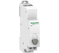 Bouton-poussoir momentané iPB-20-11 20A 1NO+1NC gris A9E18033