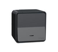 Bouton poussoir lumineux en saillie SCHNEIDER Mureva MUR35028 - 10A - 250V - IP55 - anthracite