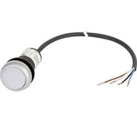 Bouton-poussoir plat Eaton C22-DL-W-K10-24-P62 185588 1 bouton blanc 1 pc(s)