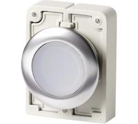 Bouton-poussoir plat, rond, chromé Eaton M30C-FDL-W 182925 blanc 1 pc(s)