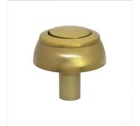 Bouton poussoir pour chasse d'eau 34335077 conçu pour trous de chasse d'eau standard pour une installation facile (B)